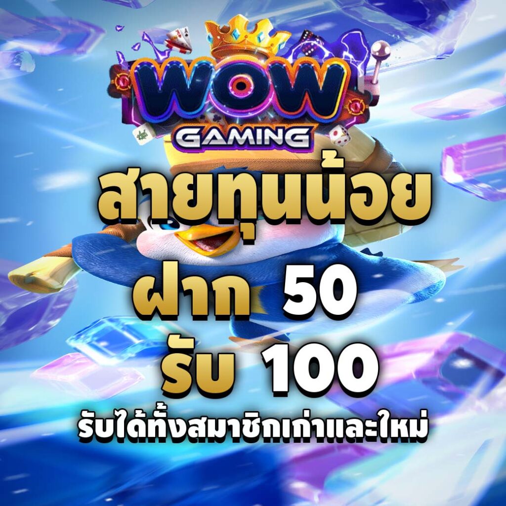 wowgaming-pro-ทุนน้อย